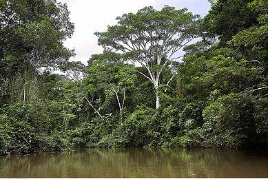 《马克思佩恩：重制版》将包含1和2 R星提供开发资金